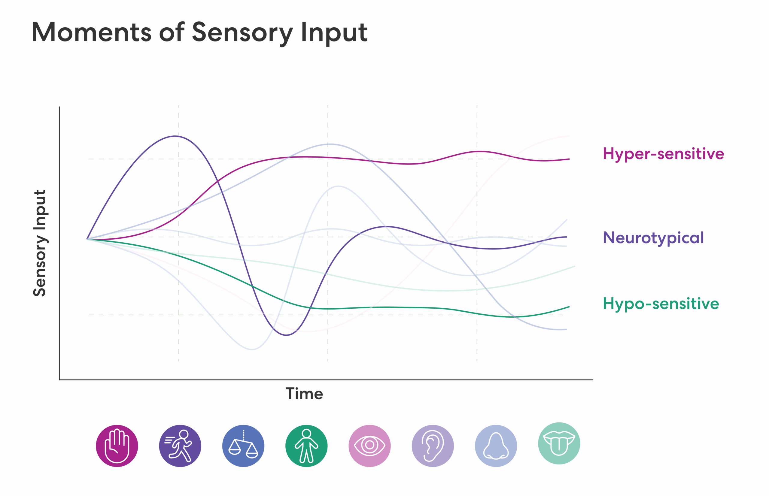 Diagram showing each of the eight senses across time and their different levels of sensory input. Hyper-sensitive, neurotypical, and hypo-sensitive are compared visually.