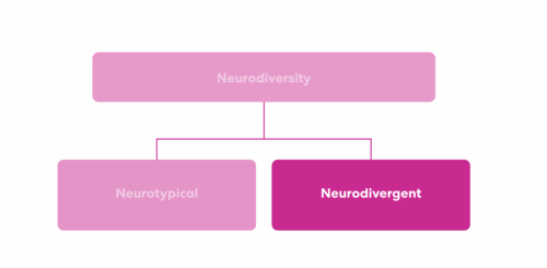 neurodivergent highlighted, a subsection of neurodiversity